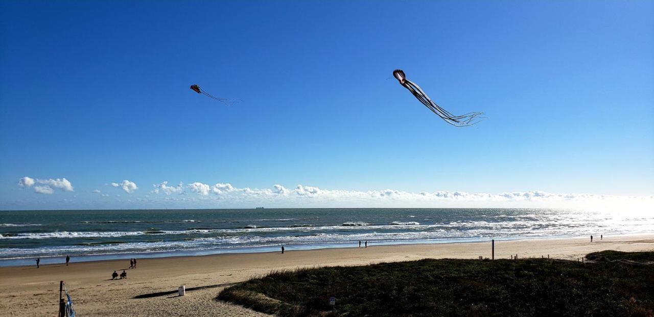 Beachfront Sanctuary Apartment South Padre Island Luaran gambar